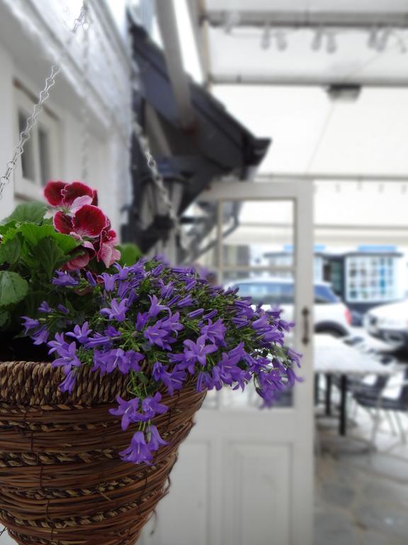 The Slipway B&B بورت إيزاك المظهر الخارجي الصورة